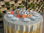 DSCN6861