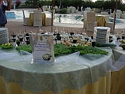 DSCN6865